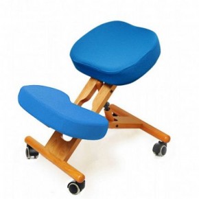 Коленный стул Smartstool KW02 + Чехлы в Верхней Пышме - verhnyaya-pyshma.mebel-74.com | фото