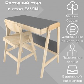 Комплект растущий стол и стул 38 попугаев «Вуди» (Серый, Без покрытия) в Верхней Пышме - verhnyaya-pyshma.mebel-74.com | фото