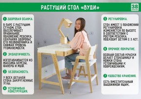 Комплект растущий стол и стул с чехлом 38 попугаев «Вуди» (Белый, Белый, Салют) в Верхней Пышме - verhnyaya-pyshma.mebel-74.com | фото