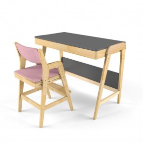 Комплект растущий стол и стул с чехлом 38 попугаев «Вуди» (Серый, Береза, Розовый) в Верхней Пышме - verhnyaya-pyshma.mebel-74.com | фото