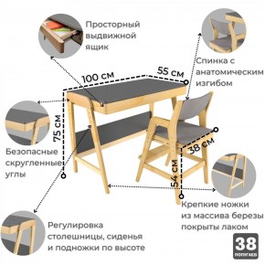 Комплект растущий стол и стул с чехлом 38 попугаев «Вуди» (Серый, Береза, Серый) в Верхней Пышме - verhnyaya-pyshma.mebel-74.com | фото
