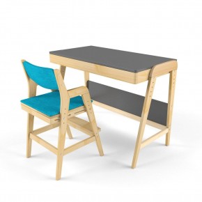 Комплект растущий стол и стул с чехлом 38 попугаев «Вуди» (Серый, Без покрытия, Лазурь) в Верхней Пышме - verhnyaya-pyshma.mebel-74.com | фото