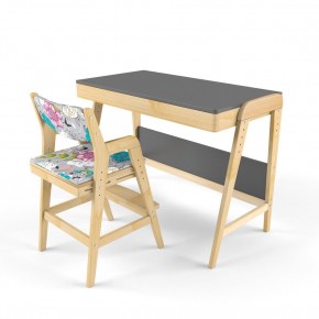 Комплект растущий стол и стул с чехлом 38 попугаев «Вуди» (Серый, Без покрытия, Мечта) в Верхней Пышме - verhnyaya-pyshma.mebel-74.com | фото