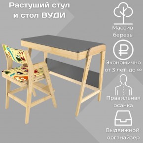 Комплект растущий стол и стул с чехлом 38 попугаев «Вуди» (Серый, Без покрытия, Монстры) в Верхней Пышме - verhnyaya-pyshma.mebel-74.com | фото