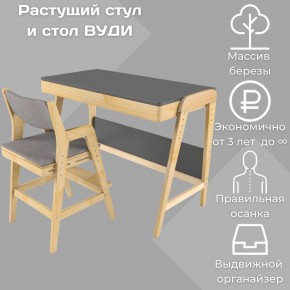 Комплект растущий стол и стул с чехлом 38 попугаев «Вуди» (Серый, Без покрытия, Серый) в Верхней Пышме - verhnyaya-pyshma.mebel-74.com | фото