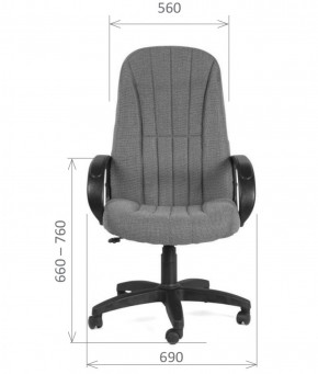 Кресло для руководителя  CHAIRMAN 685 СТ (ткань стандарт 20-23 серая) в Верхней Пышме - verhnyaya-pyshma.mebel-74.com | фото
