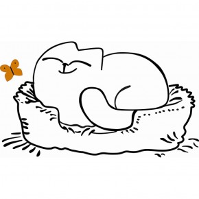 Кровать двухуровневая Кот № 900.1 ЛЕВАЯ (туя светлая/белый) в Верхней Пышме - verhnyaya-pyshma.mebel-74.com | фото