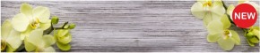 Кухонный фартук КМ 09 Композит глянец (3000) в Верхней Пышме - verhnyaya-pyshma.mebel-74.com | фото
