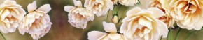 Кухонный фартук Цветы 066 МДФ матовый (3000) Flowers в Верхней Пышме - verhnyaya-pyshma.mebel-74.com | фото
