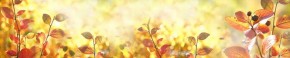 Кухонный фартук Цветы 318 МДФ матовый (3000) Flowers в Верхней Пышме - verhnyaya-pyshma.mebel-74.com | фото