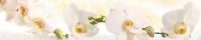 Кухонный фартук Цветы 328 МДФ матовый (3000) Flowers в Верхней Пышме - verhnyaya-pyshma.mebel-74.com | фото