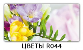 Обеденный раздвижной стол Бриз с фотопечатью Орхидея R041 в Верхней Пышме - verhnyaya-pyshma.mebel-74.com | фото