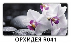 Обеденный раздвижной стол Бриз с фотопечатью Орхидея R041 в Верхней Пышме - verhnyaya-pyshma.mebel-74.com | фото