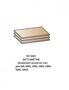 ПЛ-1021 (Комплект полок из 3 шт для ШК-1001, 1002, 1003, 1004, 1005, 1007) в Верхней Пышме - verhnyaya-pyshma.mebel-74.com | фото