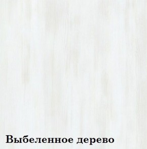 Шкаф 2-х секционный ЛЮКС-2 ПЛЮС (фасад стекло Черное) ЛДСП Стандарт в Верхней Пышме - verhnyaya-pyshma.mebel-74.com | фото