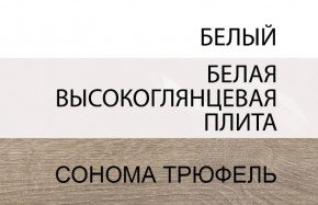 Шкаф 2D/TYP 20A, LINATE ,цвет белый/сонома трюфель в Верхней Пышме - verhnyaya-pyshma.mebel-74.com | фото