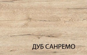 Шкаф 3D2S Z OSKAR , цвет дуб Санремо в Верхней Пышме - verhnyaya-pyshma.mebel-74.com | фото