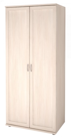 Шкаф для одежды 2-х дверный Ника-Люкс 21 в Верхней Пышме - verhnyaya-pyshma.mebel-74.com | фото