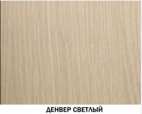 Шкаф для одежды №609 "Инна" Денвер светлый (*без полок) в Верхней Пышме - verhnyaya-pyshma.mebel-74.com | фото