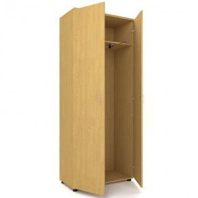 Шкаф для одежды двухстворчатый "Проспект" (Р.Ш-8) в Верхней Пышме - verhnyaya-pyshma.mebel-74.com | фото