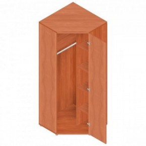 Шкаф для одежды "Референт" Р.Ш-10 в Верхней Пышме - verhnyaya-pyshma.mebel-74.com | фото