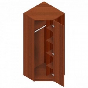 Шкаф для одежды "Референт" Р.Ш-10 в Верхней Пышме - verhnyaya-pyshma.mebel-74.com | фото