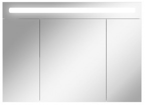 Шкаф-зеркало Аврора 100 с подсветкой LED Домино (DV8012HZ) в Верхней Пышме - verhnyaya-pyshma.mebel-74.com | фото