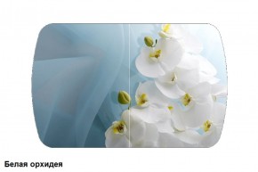 Стол Бостон 2 (1100*700) опоры Брифинг (Стекло/фотопечать Белая орхидея) в Верхней Пышме - verhnyaya-pyshma.mebel-74.com | фото