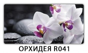 Стол Бриз с фотопечатью Орхидея R041 в Верхней Пышме - verhnyaya-pyshma.mebel-74.com | фото