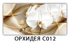 Стол раздвижной Трилогия с фотопечатью Орхидея C012 в Верхней Пышме - verhnyaya-pyshma.mebel-74.com | фото