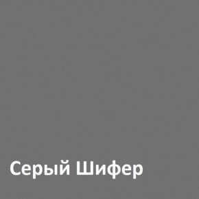 Юнона Шкаф торцевой 13.221 в Верхней Пышме - verhnyaya-pyshma.mebel-74.com | фото