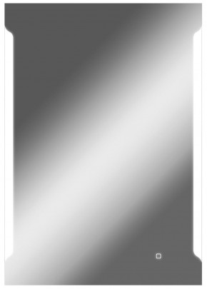 Зеркало Оттава 1000х700 с подсветкой Домино (GL7028Z) в Верхней Пышме - verhnyaya-pyshma.mebel-74.com | фото